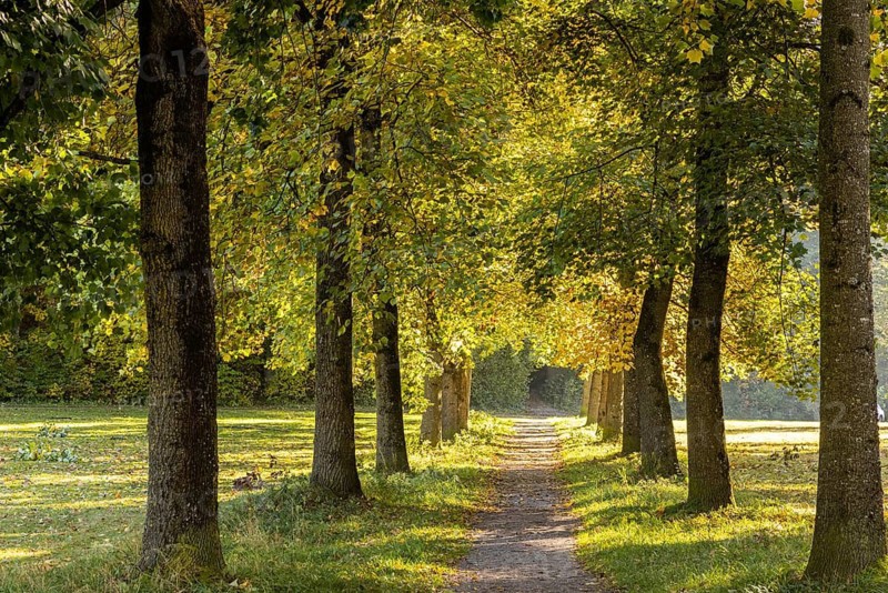 Tulpenweg Avenue in Ferthofen, Unterallgäu, Bavaria
