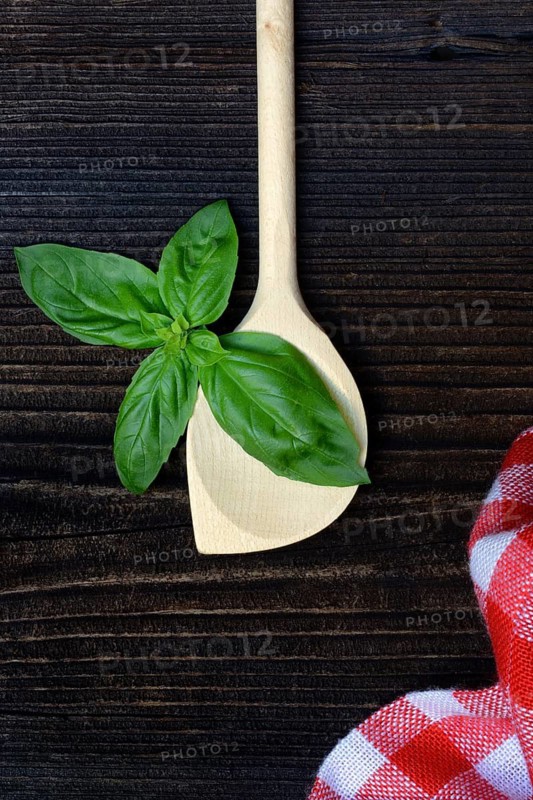 Cooking spoon and basil (Ocimum basilicum)
