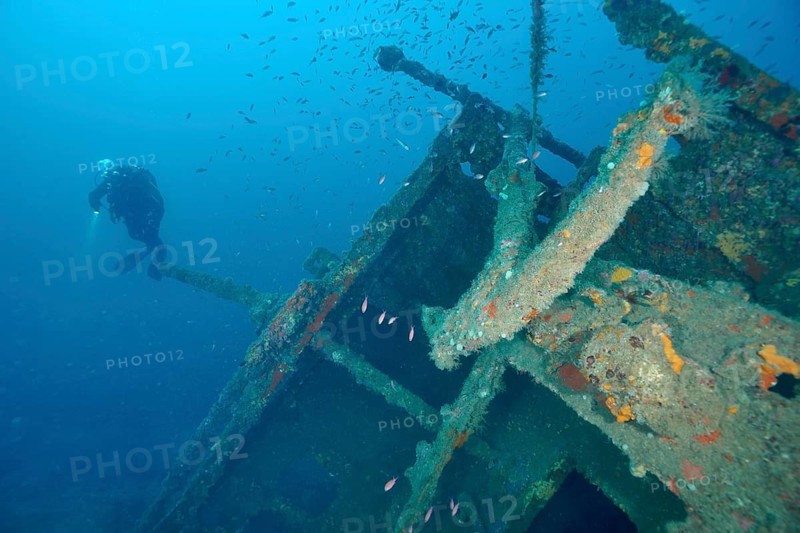 Divers exploring a partly overhanging shipwreck underwater, dive site Wreck Michel C, Giens Peninsula, Mediterranean Sea, Porquerolles, Provence, Côte d'Azur, France
