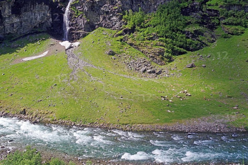 A clear river flows through a green landscape with a waterfall and rocky hills, Rallarveien, Myrdal, Flam, Sognefjord, Norway