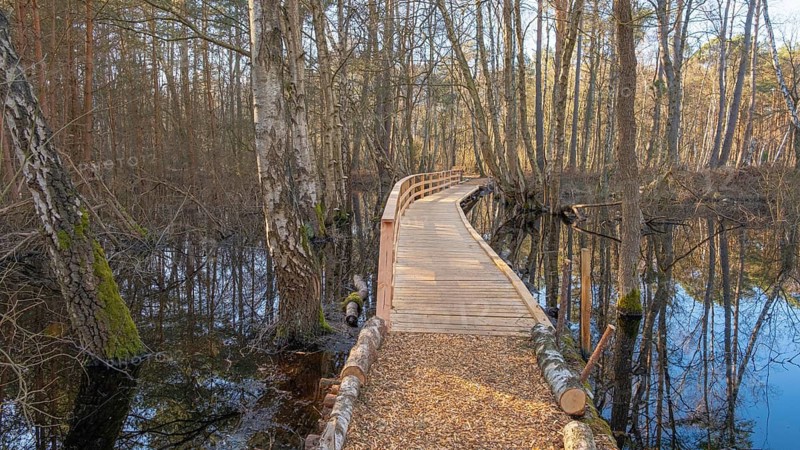 View along a moor bridge of a moor adventure trail, Otternhagener Moor, Resse, Neustadt am Rübenberge, Hanover, Lower Saxony, Germany