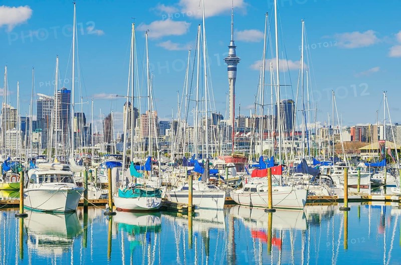 View of Auckland skyline from Westhaven Marina, Auckland, North Island, New Zealand