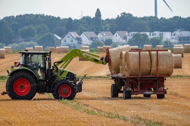 Straw harvest, after grain harvesting, the straw, previously mowed, dried and laid in rows, so-called swaths, is pulled by a round baler, by a tractor, picked up, pressed into compressed bales and placed in the field, then loaded onto trailers and brought to the farm, used as animal feed, Duisburg-Bärl, North Rhine-Westphalia, Germany