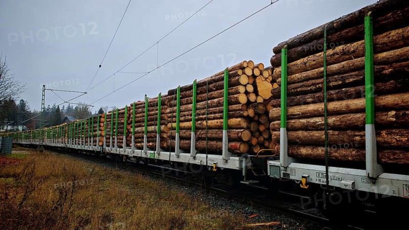 Removal of Franconian spruces (picea) destroyed by the bark beetle (Scolytinae) by goods train, train loaded with large logs on a track under grey skies, Franconian Forest nature park Park