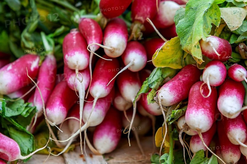 Radishes, market stall, market sale, Sault, Provence, France