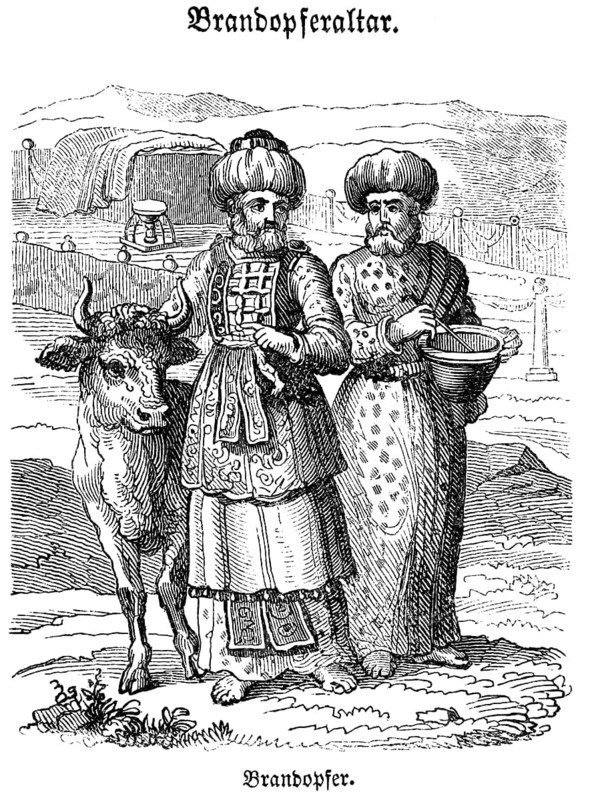 The priest lays his hand on the male sacrificial animal, here an ox, and leads it to the sacrificial altar where it was slaughtered, Bible, historical illustration, Biblisches Handwörterbuch 1862