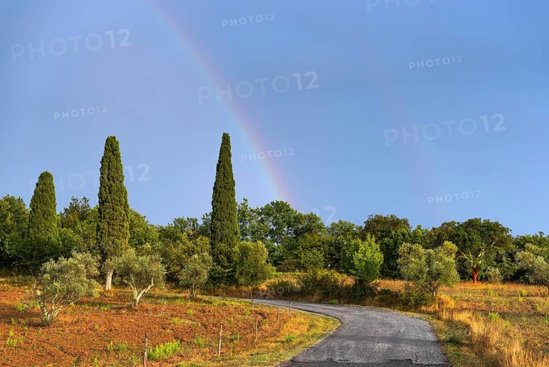 Landscape in the evening light, nature, landscape, weather, rain, sun, dramatic, rural, tourism, travel, rainbow, Tuscany, Italy