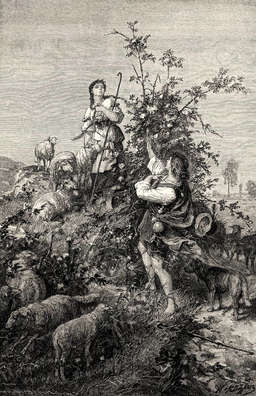 Das Heideröslein, Little Rose of the Field, poem, by Johann Wolfgang von Goethe