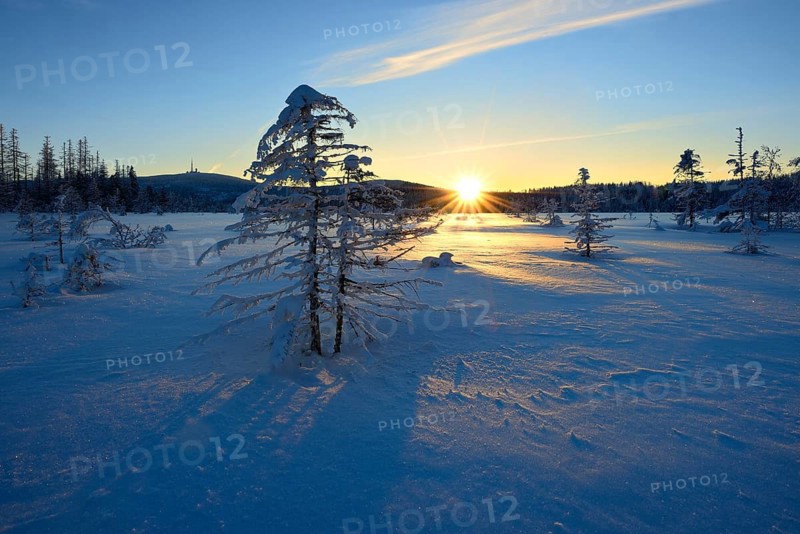 Deeply snow-covered, untouched winter landscape in the Torfhausmoor at sunrise, with the Brocken in the background, near Torfhaus, Harz National Park, Lower Saxony, Germany