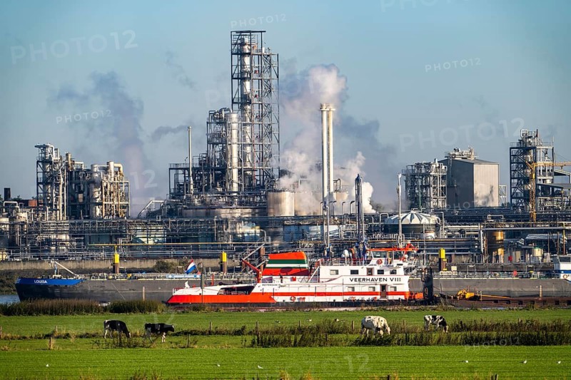 Cargo ship on the Rhine near Emmerich, Kao Chemicals backdrop, specialising in surfactants, KLK, Left Rhine pastures, Lower Rhine, North Rhine-Westphalia, Germany