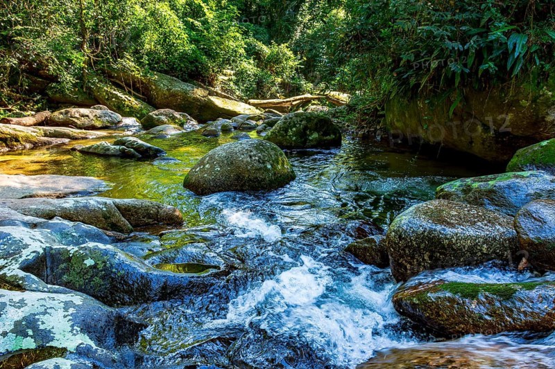 Creek with water flowing between rocks and tropical forest on the island of Ilhabela, Ilhabela, Sao Paulo, Brazil