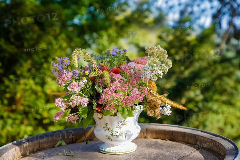 Still life, bouquet of flowers, vase, on the Rotenberg, zum Württemberg, zum Wirtemberg near the burial chapel, Rotenberg district, Stuttgart, Baden-Württemberg, Germany