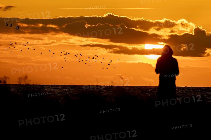 Person birdwatching birdwatcher viewing wading birds heading off to roost on The Wash at sunset, RSPB Snettisham nature reserve, Norfolk, England, United Kingdom