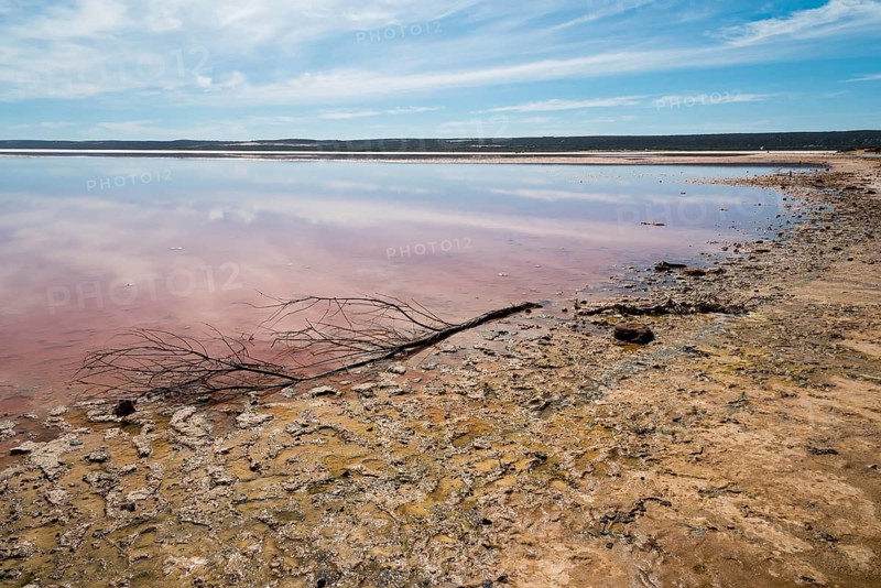 Australia, Western Australia, salt lakes, vastness, longing, reflection, reflection, mirrored, reddish water, salt lake