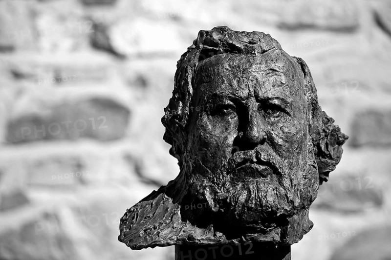 Portrait head Carl Vogt by Thomas Duttenhoefer, bronze, green patina, Giessener Köpfe, Altes Schloss Giessen, Hesse, Germany