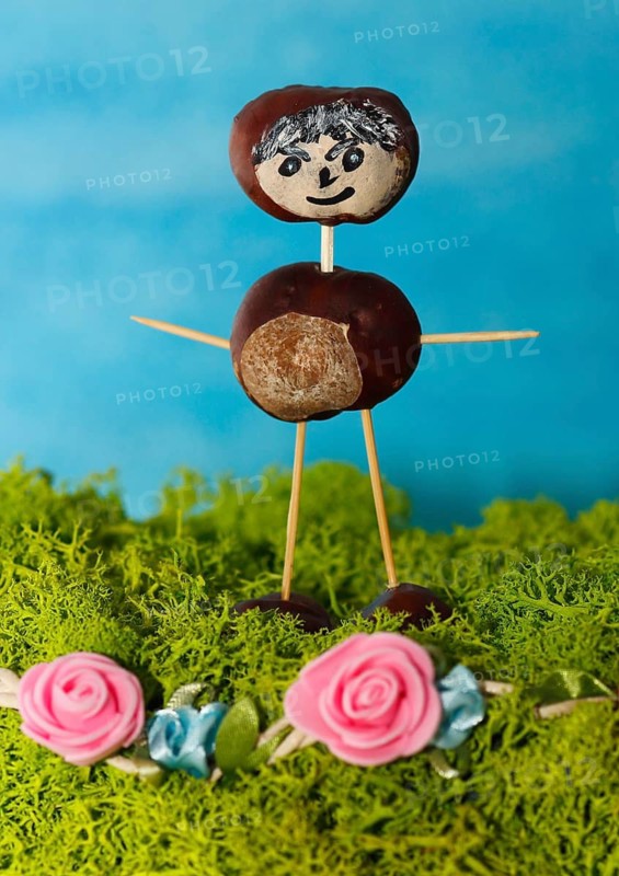 Chestnut figure standing on Iceland moss with pink decorative roses, North Rhine-Westphalia, Germany