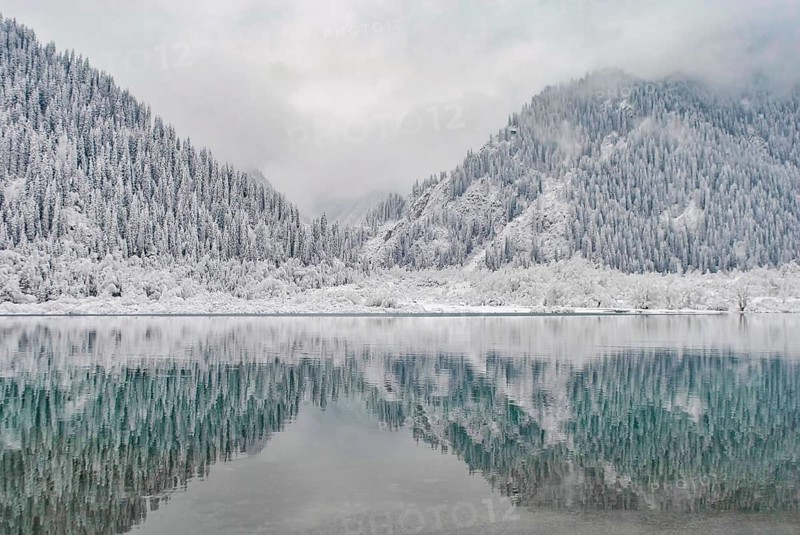 Mountain lake in winter. Snow-covered mountains are reflected in the water. Winter landscape, A tranquil winter scene of a snow-covered forest and mountains reflected in a still lake under an overcast sky, Lake Issyk, Kazakhstan