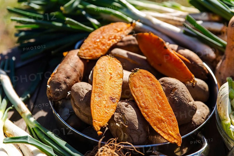 Freshly harvested calsots and sweet potatoes ready for grilling in a traditional calsotada, celebrating Catalan culture and outdoor slow living