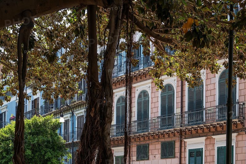 View of blue and pink house facades with green shutters, Giardino Garibaldi Park, Piazza Marina, Palermo, Sicily, Italy