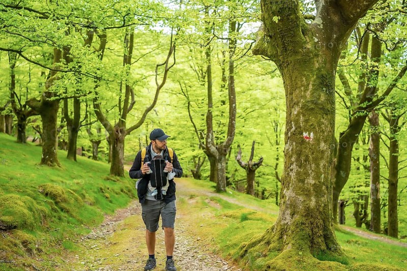A young father with a yellow backpack walking with the newborn child in the backpack on a path in the forest heading to the picnic with the family