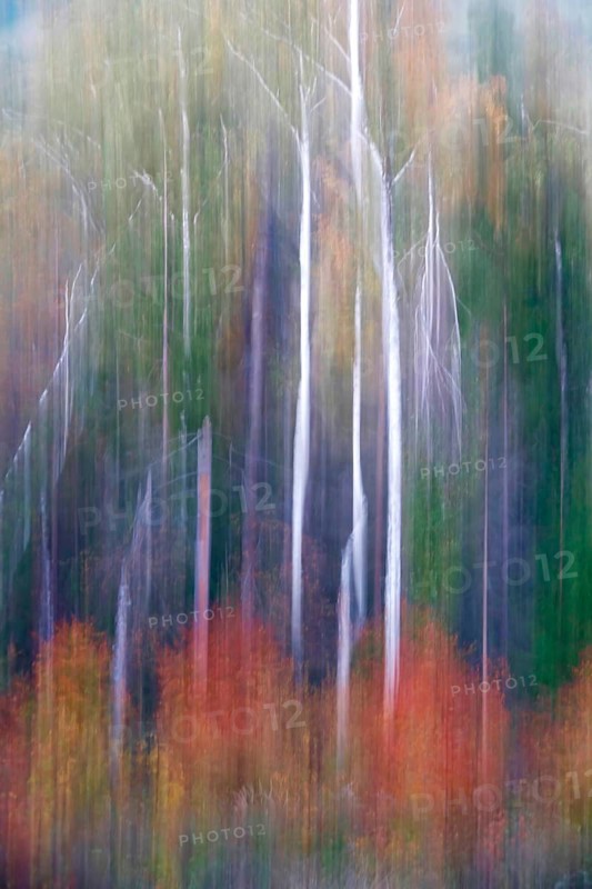Autumnal forest, alienation through long exposure, Germany