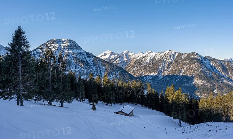 Alpine hut in the snow between trees, ski tour to Schafreuter, view of mountain panorama of Karwendel, Karwendel, Tyrol, Austria