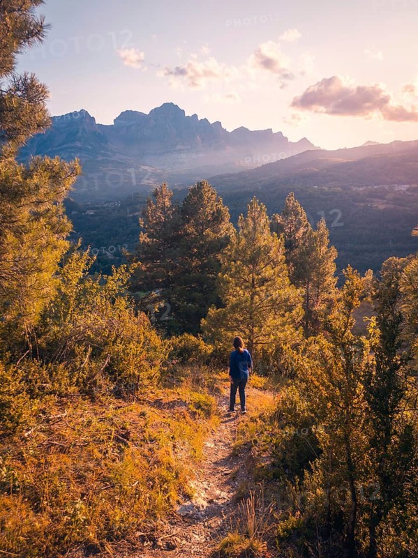A lone hiker stands amidst a lush forest, gazing at a distant mountain range under a warm, golden sunrise in the Pyrenees. The scene captures the tranquility and beauty of nature in summer
