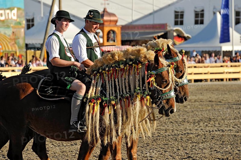 Horsemen in Tacht on festively decorated horses, cold-blooded horses with braided mane, fairground, historic Wies'n, Oide Wiesn, Oktoberfest, Munich, Upper Bavaria, Bavaria, Germany