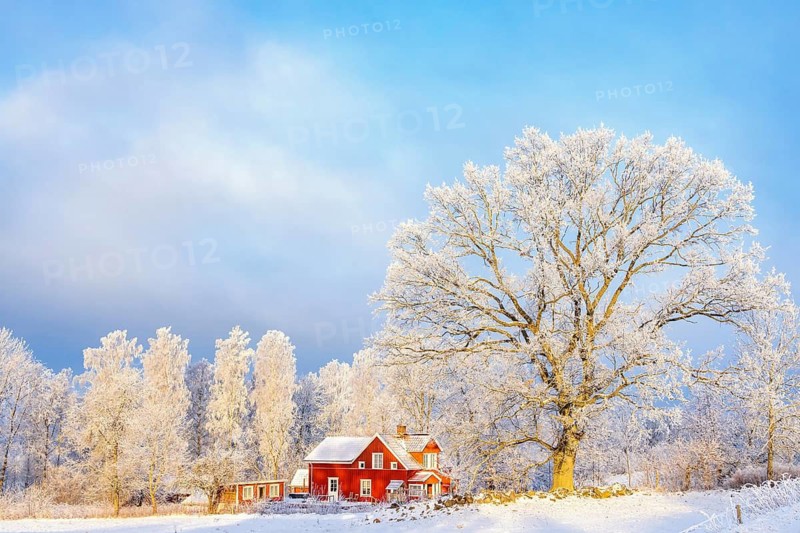 Red residential house in the countryside at a cold wintry landscape with hoarfrost and snow, Sweden