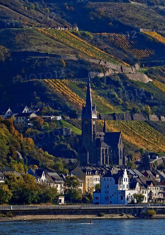View across the Rhine from Bacharach to Lorch with the parish church of St Martin, UNESCO World Heritage Upper Middle Rhine Valley, Hesse, Germany