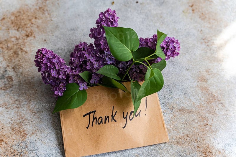 A charming arrangement of vibrant lilac flowers and leaves rests on a handwritten Thank You card, placed on a rustic surface. Perfect for expressing gratitude