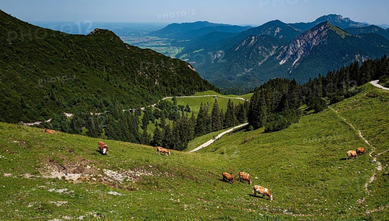 Mountain landscape at Lake Walchensee in Bavaria, Germany