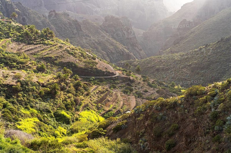 Landscape of the Masca Gorge in the Teno Mountains, Masca, Tenerife, Canary Islands, Spain