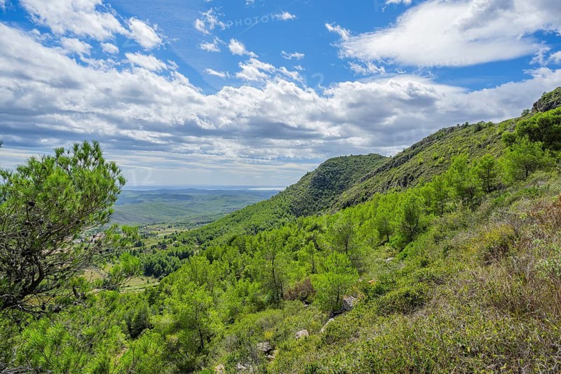 View onto the Hills and valleys from the range of Mount La Talaia del Montmell, Catalonia, Spain