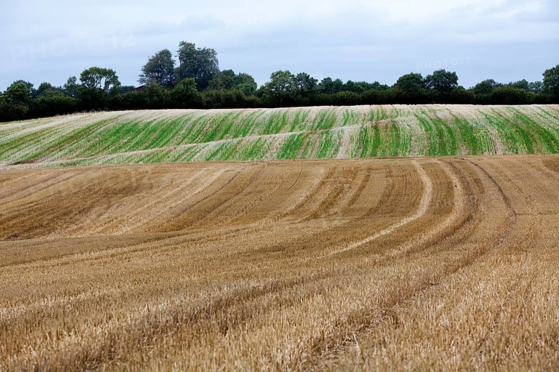 Glacially formed hills, Schleswig-Holstein, Germany