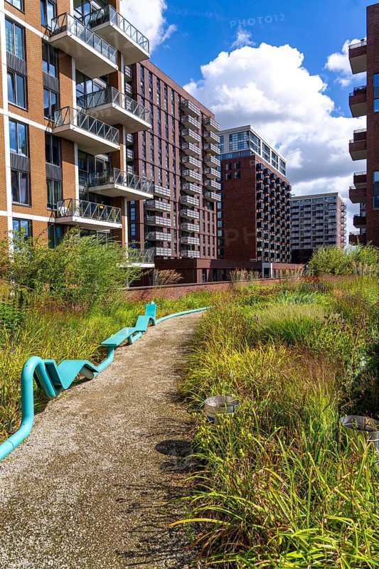 De Groene Kaap residential complex, in the Rotterdam Feijenoord district, on the Maashaven, Katendrecht neighbourhood, 450 flats and shops, spread over 5-19 storey buildings, with many inner courtyards, balconies and an accessible roof garden, partly over bridges, partly as a kitchen garden, which extends over all buildings and can also be used by the public, lots of greenery to promote the microclimate, energy-efficient construction, Netherlands