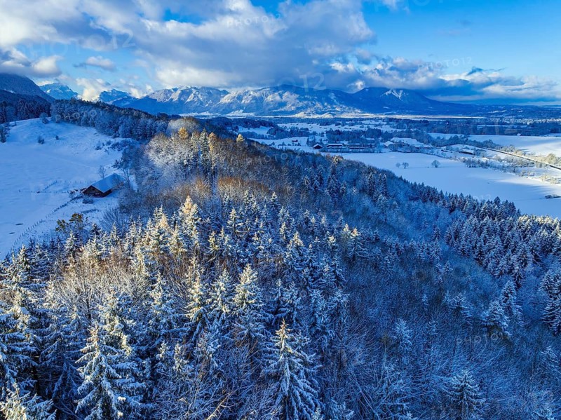 Snow-covered trees in front of mountains, winter landscape, morning light, aerial view, view of Zugspitze and Ammergau Alps, Alpine foothills, Bavaria, Germany