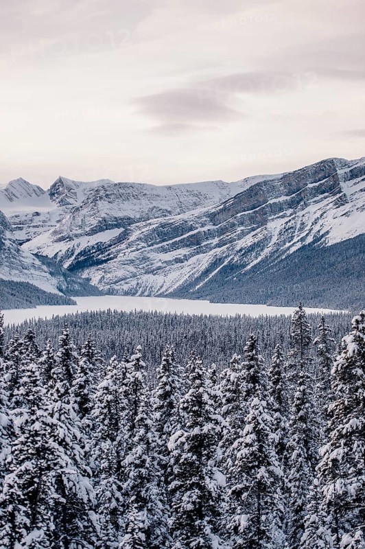 Winter road trip on the Icefields Parkway with lots of snow and ice, Banff National Park, Jasper National Park, Alberta, Canada