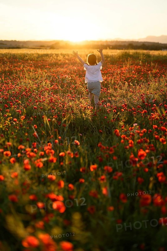 Back view of unrecognizable girl joyfully running in a lush field filled with blooming Papaver rhoeas, commonly known as common poppies or red poppies, during a picturesque sunset