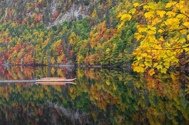 A typical boat type (Plätte) on Lake Toplitz, forest in full autumn colors, Austria