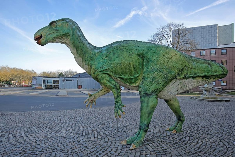 Green Iguanodon dinosaur, realistic model, life-size replica, realistic, animal figure, Natural History Museum, Ottoneum, Kassel, Hesse, Germany