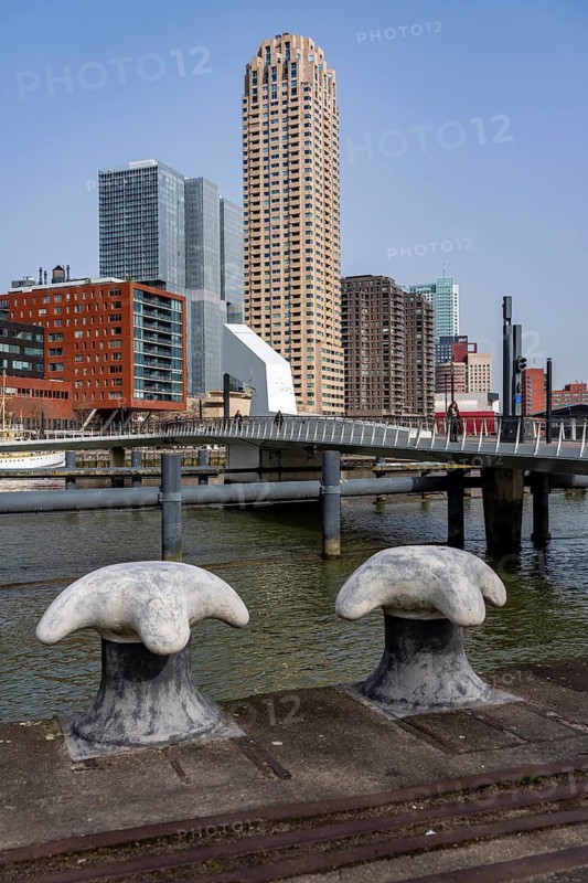 Kop van Zuid, Wilhelminapier, skyscrapers on the Nieuwe Maas, skyline of the city center, Rijnhaven harbor basin, Rotterdam, Netherlands