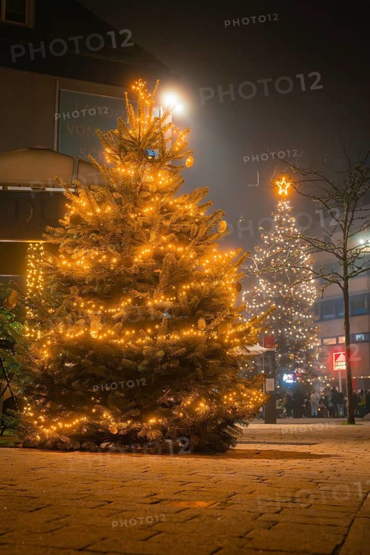 Several illuminated Christmas trees on a square in a nocturnal scenery, Christmas market, Nagold, Black Forest, Germany