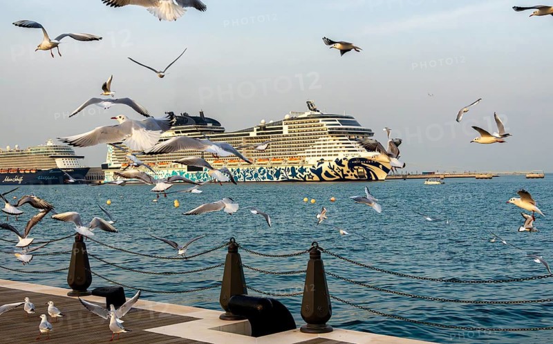 Mina District across from the cruise terminal, locals and tourists feed the seagulls, Doha, United Arab Emirates, Western Asia