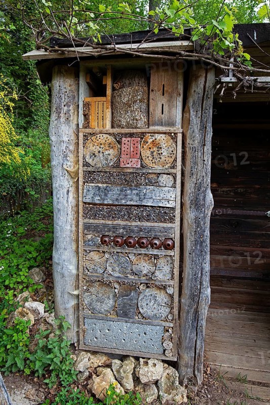 Insect hotel, nesting aid, animals, insects, beech, beech trunk, Baden-Württemberg, Federal Republic of Germany