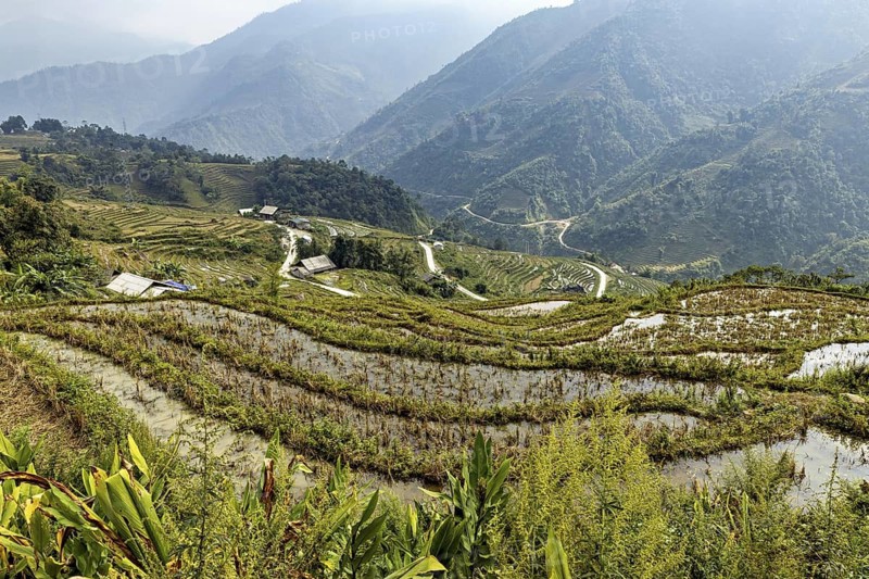 Rice terraces and hills with water in a green mountain landscape, The rice paddies in the Sa Pa area in Vietnam