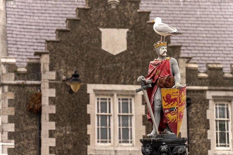Statue of the knight Llewelyn the Great with seagull in Lancaster Square in Conwy, Wales, Great Britain