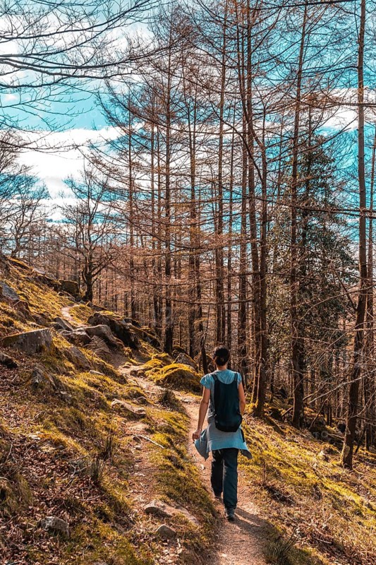 A very happy young woman walking in the pines on Mount Adarra in Guipuzcoa. Basque Country