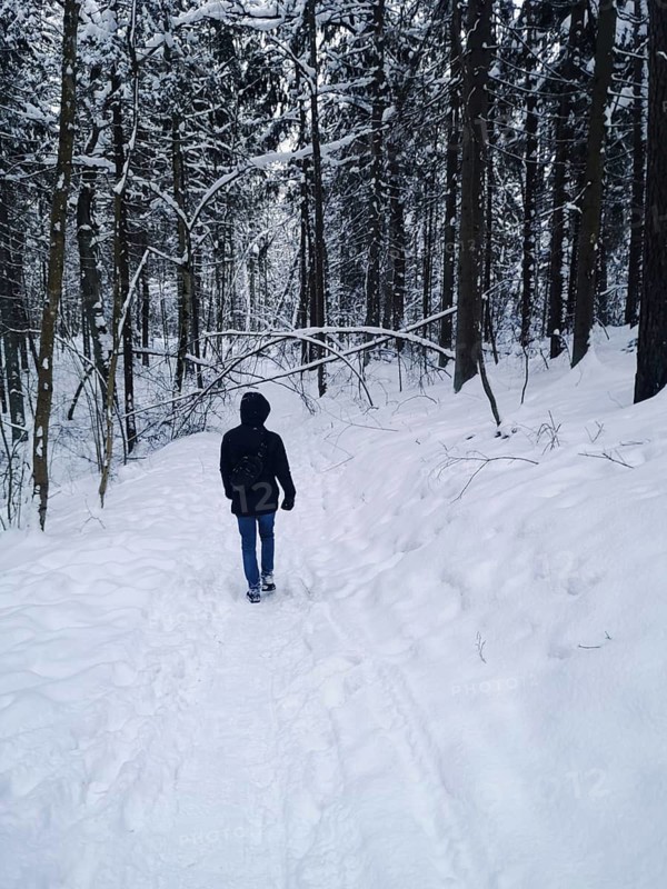 A person walking along a snowy path in a dense winter forest. Rear view of a man in a hooded jacket walking through the winter forest. A person walks away along a snow-covered forest trail bordered by tall winter trees. A dark jacket, blue jeans, and a backpack stand out against the white landscape. The quiet path and soft snowbanks create a serene cold season atmosphere. The scene reflects winter hiking, solitude, outdoor exploration, and the peaceful beauty of natural woodland in winter