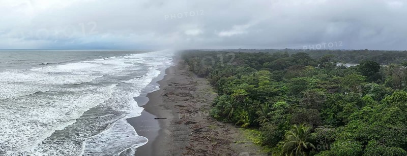 Aerial view, beach and sea, coast with rainforest, Tortuguero National Park, Costa Rica
